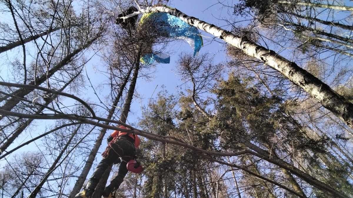 Hasiči na Přerovsku sundávali paraglidistu ze stromu